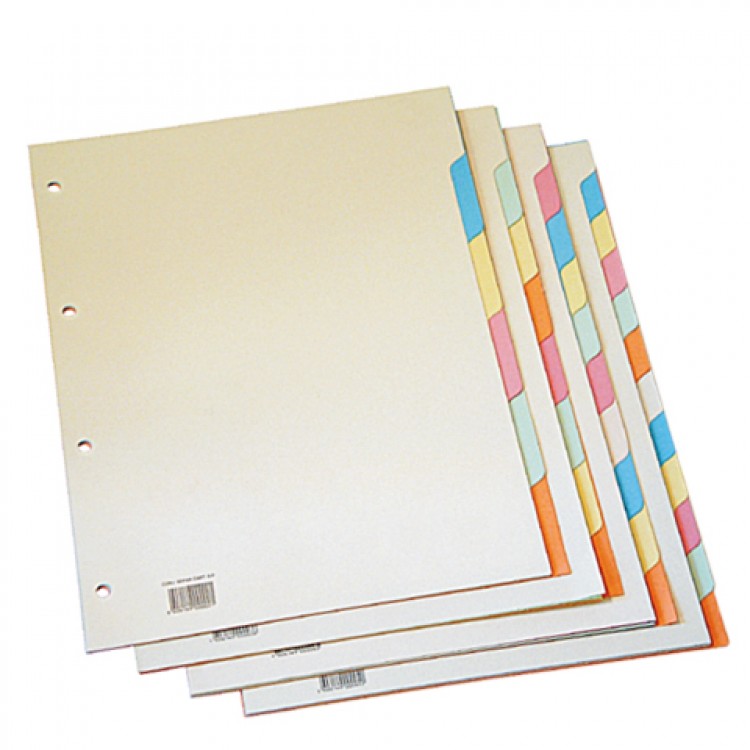SEPARADOR CARTOLINA A4/24 CORES