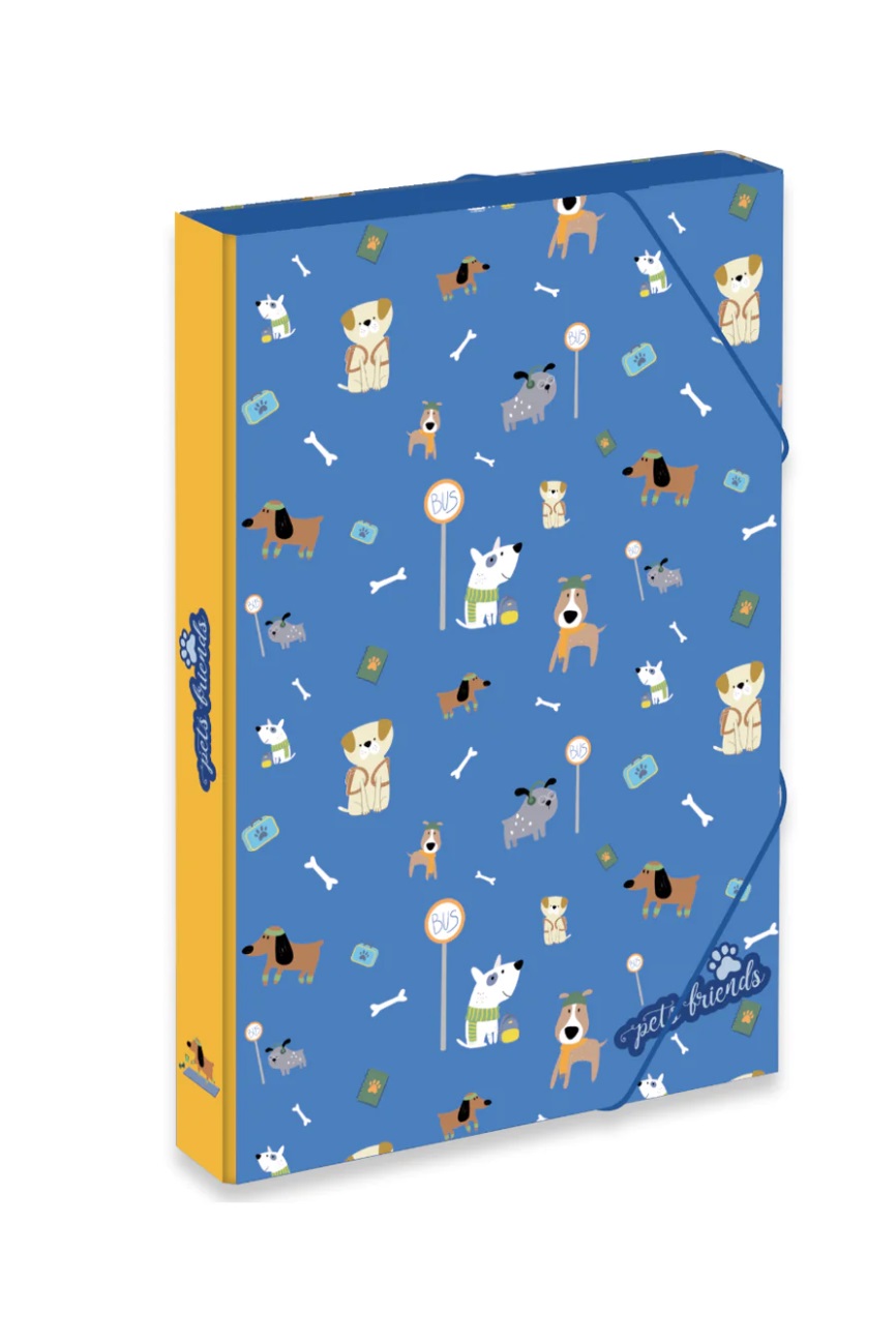 CAIXA PROJETOS ALM. DOG PERSON BOY