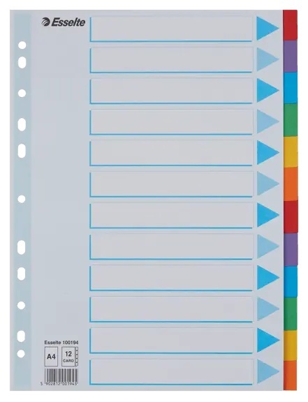 SEPARADOR ESSELTE CARTAO 200GR A4/12 PESTANAS