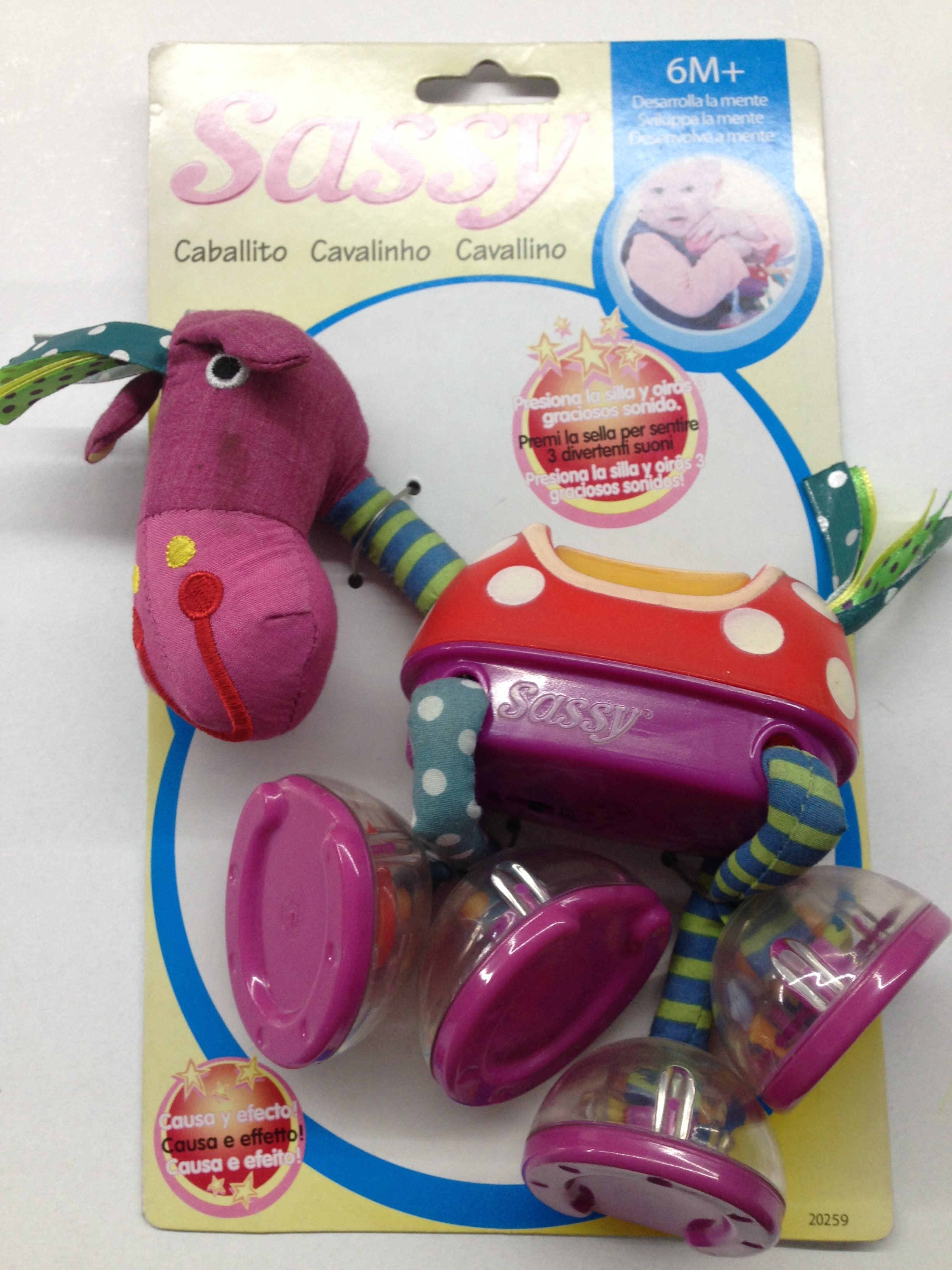 CAVALITO SASSY * P20259