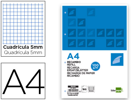 RECARGA 100FLH. PAPEL A4/100GR. QUAD.